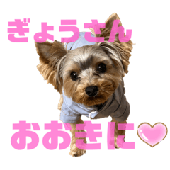 関西弁犬ふうた君 Lineスタンプ Tomomo